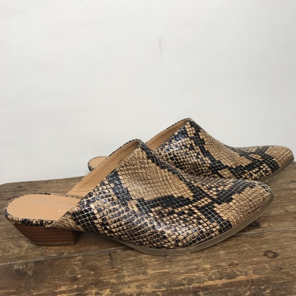 Coconuts by Matisse Snake Print ‘Lucky’ Mules - Picture 4 of 7